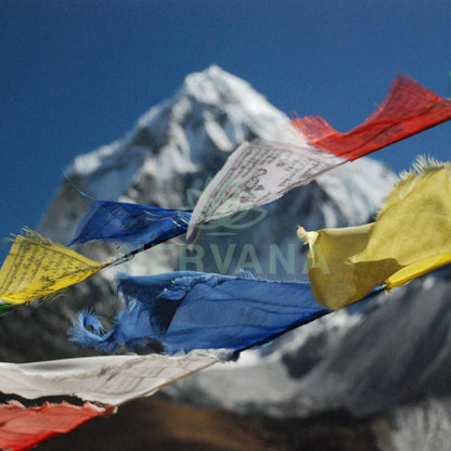 Lung Ta Wind Horse Buddhist Prayer Flag