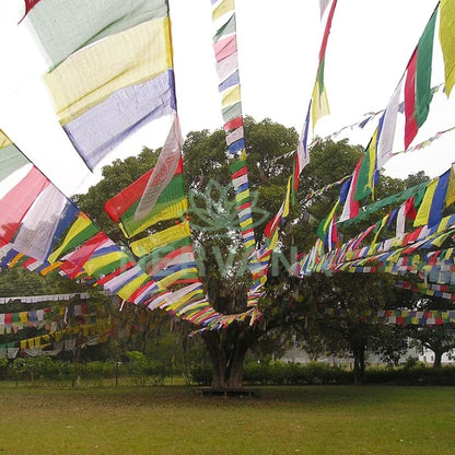 Lung Ta Wind Horse Buddhist Prayer Flag